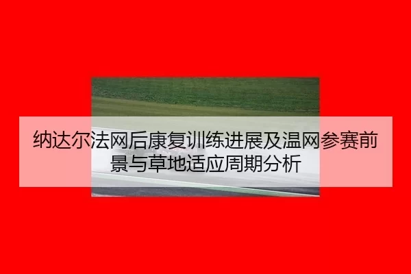 na-da-er-fa-wang-hou-kang-fu-xun-lian-jin-zhan-ji-wen-wang-can-sai-qian-jing-yu-cao-di-shi-ying-zhou-qi-fen-xi-2-354.jpg